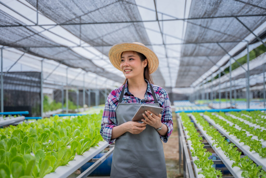 Topraksız Tarımda Su Kullanımı: Gerçekten Ne Kadar Tasarruf Sağlanır?