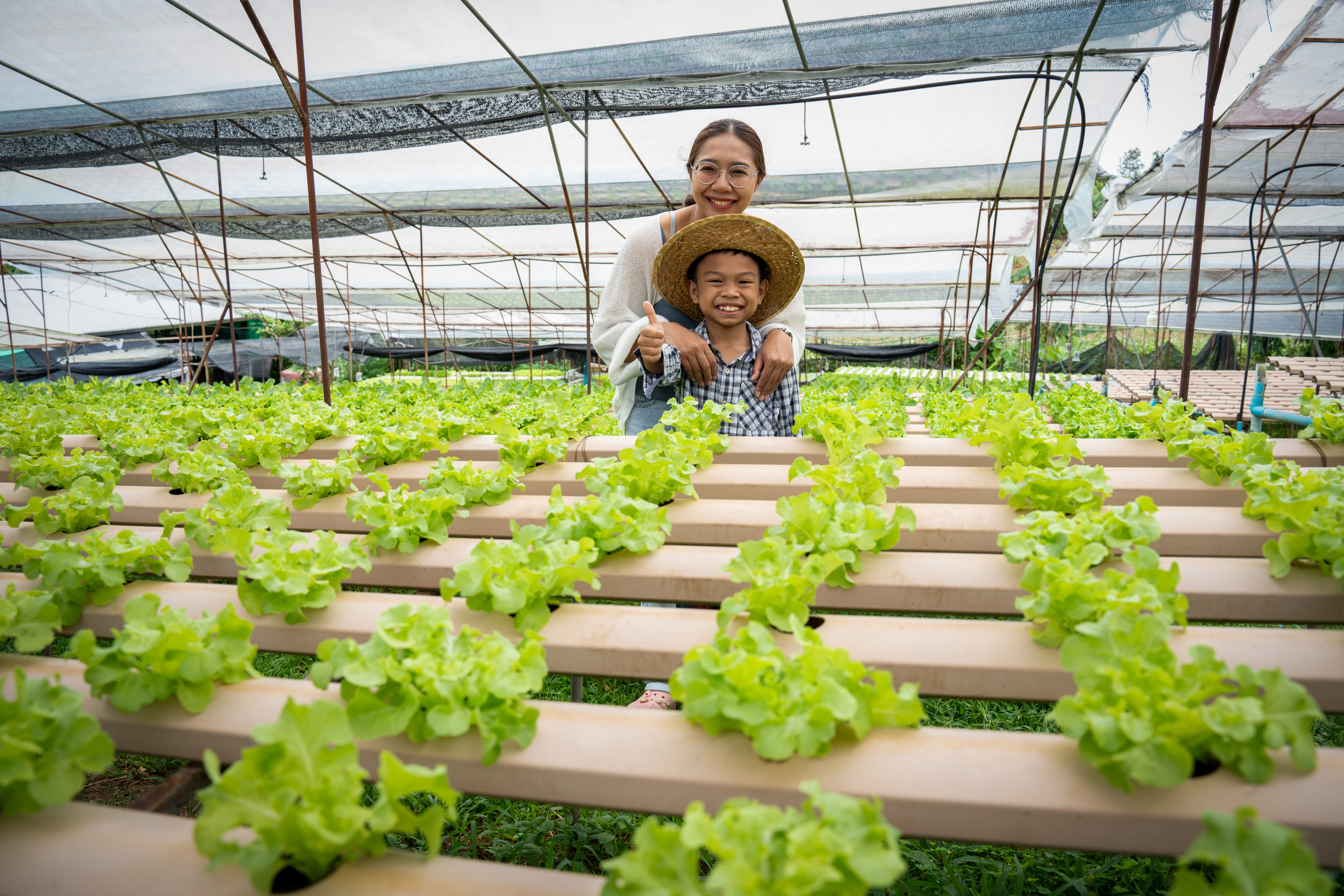 Topraksız Tarımda İklim Kontrolü Nasıl Yapılır? Seralarda Sıcaklık, Nem ve Hava Yönetimi