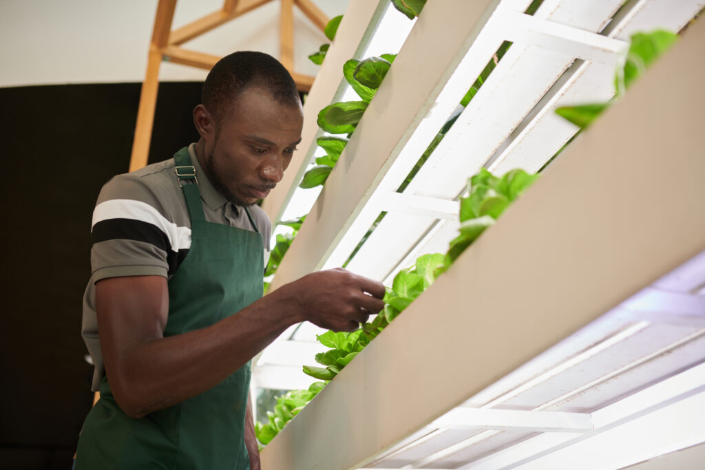 Topraksız Tarımın Geleceği: Kent Tarımı, Dikey Çiftlikler ve Yeni Nesil Üretim Modelleri